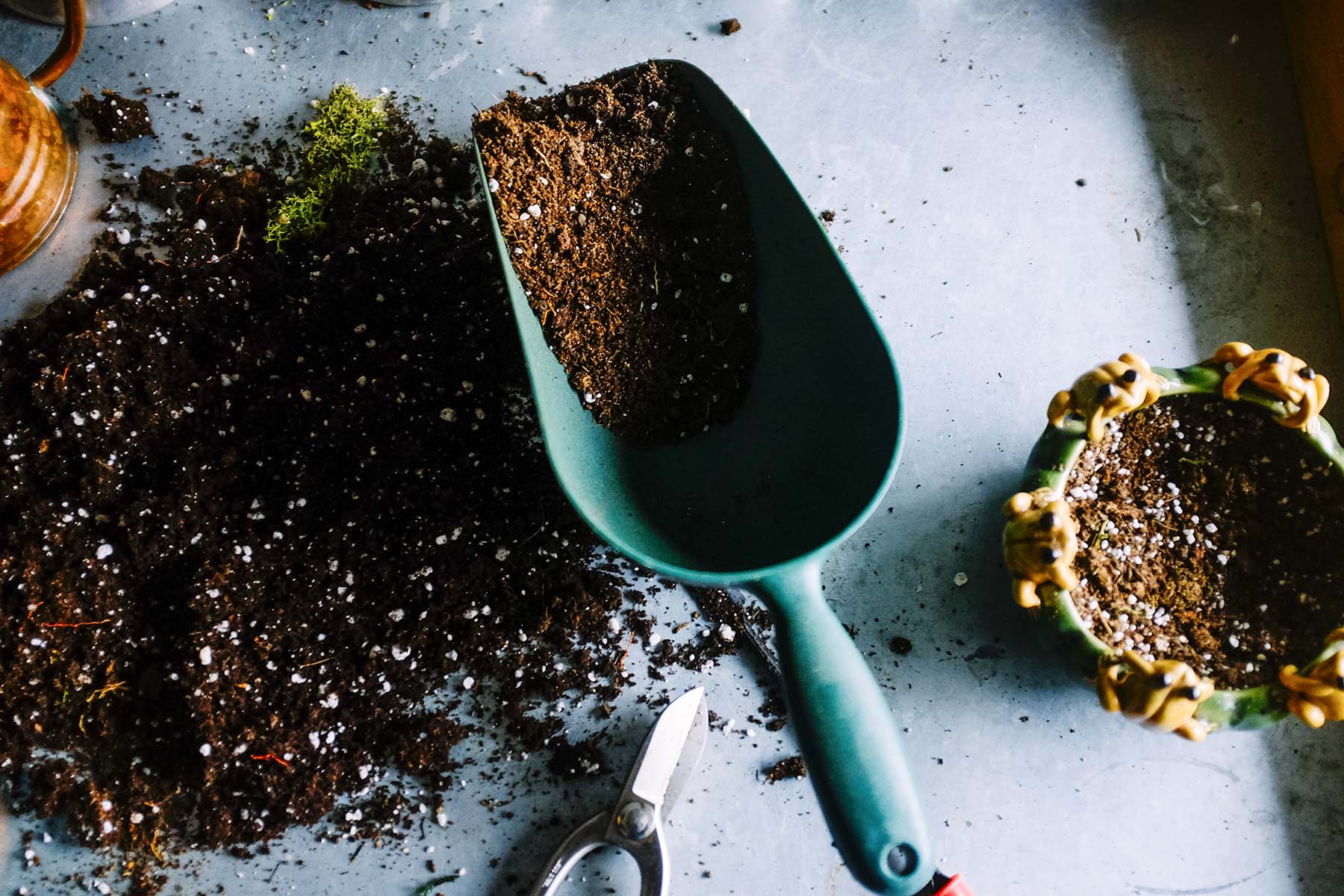 The Ultimate Guide to Types of Soil for House Plants: Choosing the Right Mix