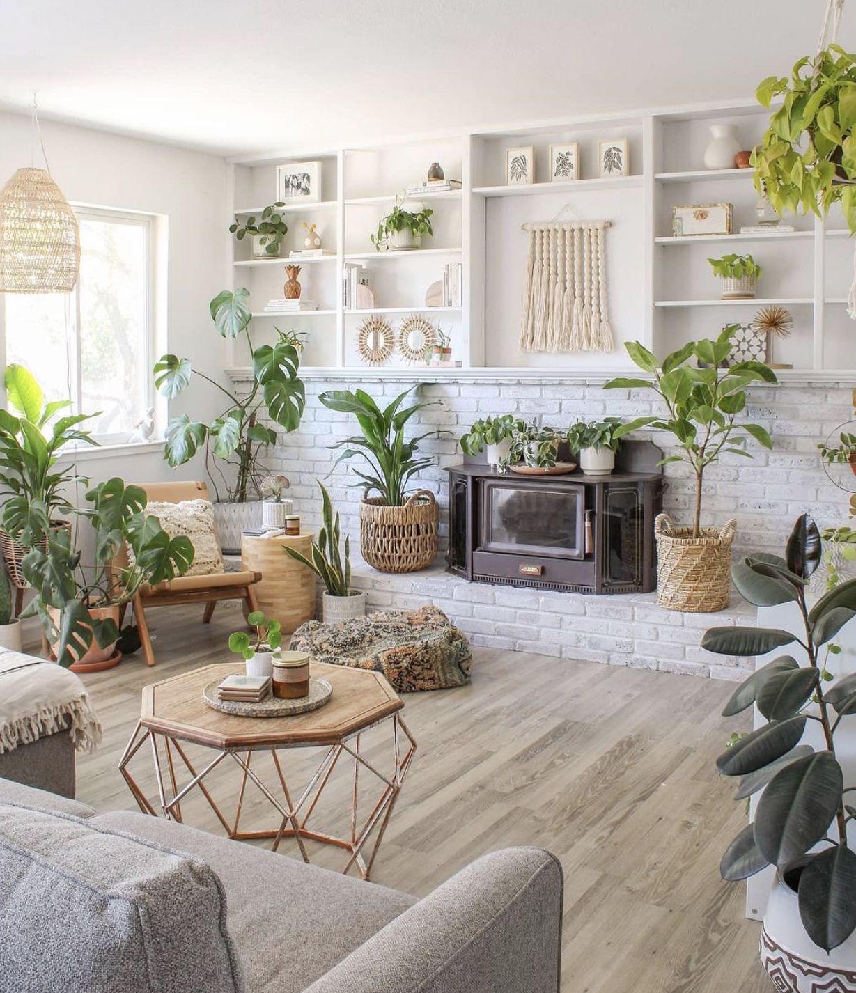 The Importance of Indoor Plants at Home